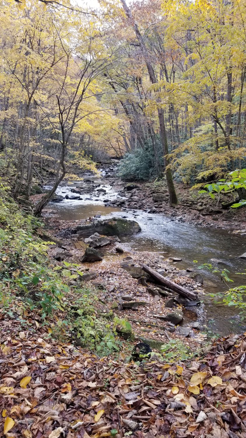 Glade Creek Trail 